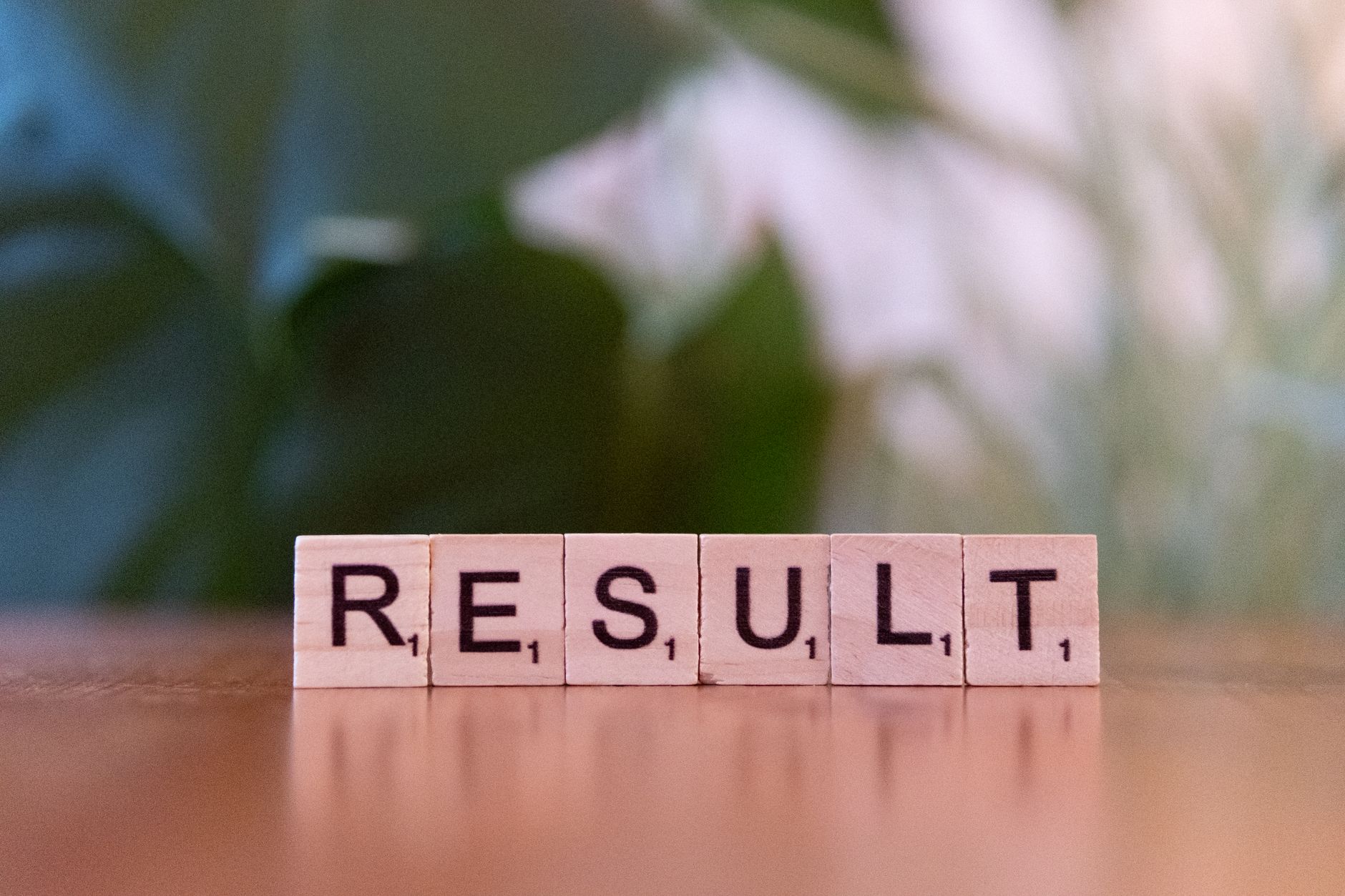 Q2 Results Announcements: The Best Insights for Investors